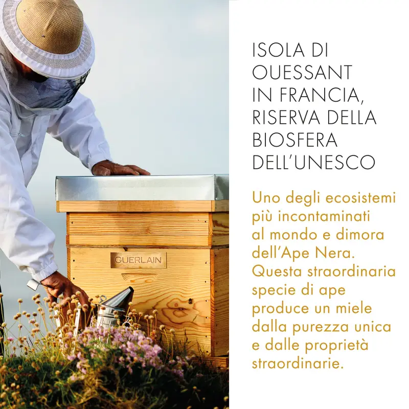 Abeille Royale Daily Repair Serum - Trattamento antietà pelli mature, Siero antirughe miniatura 3