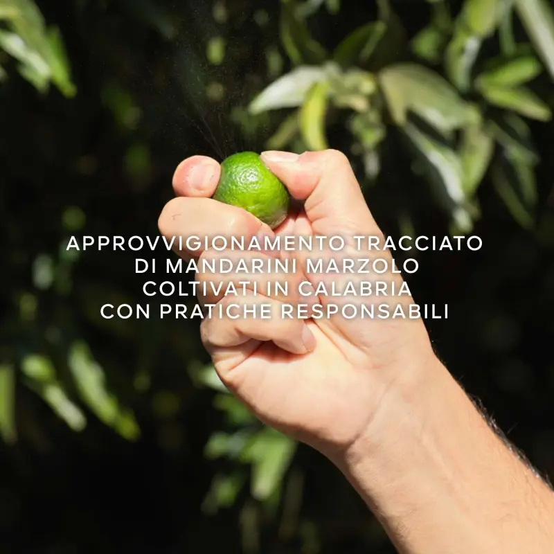 Guerlain Eau de Toilette Donna Verde 3000346 miniatura 5