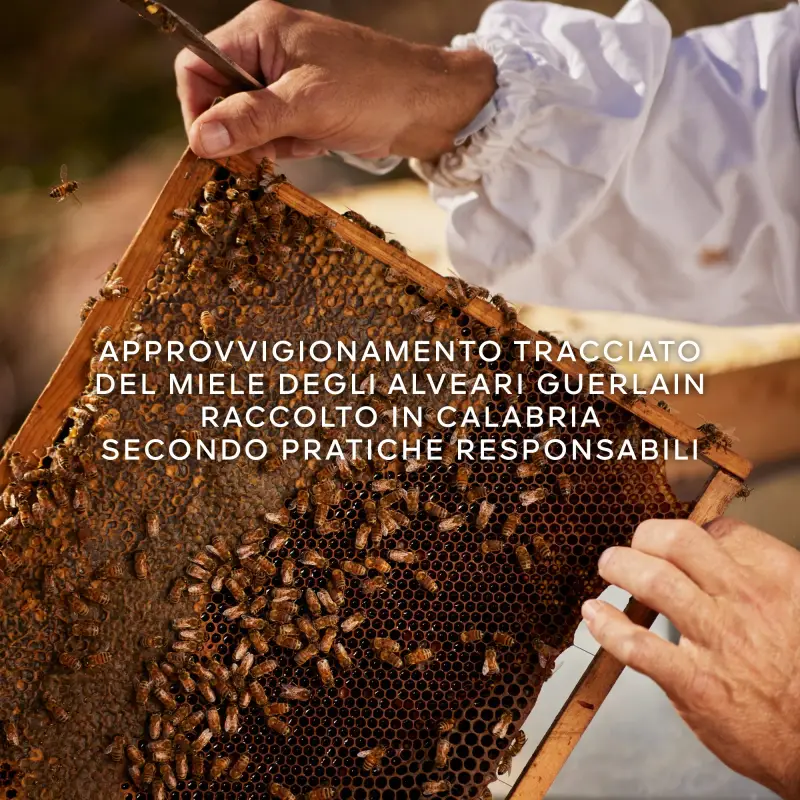 Guerlain Eau de Toilette Donna 3000348 miniatura 5