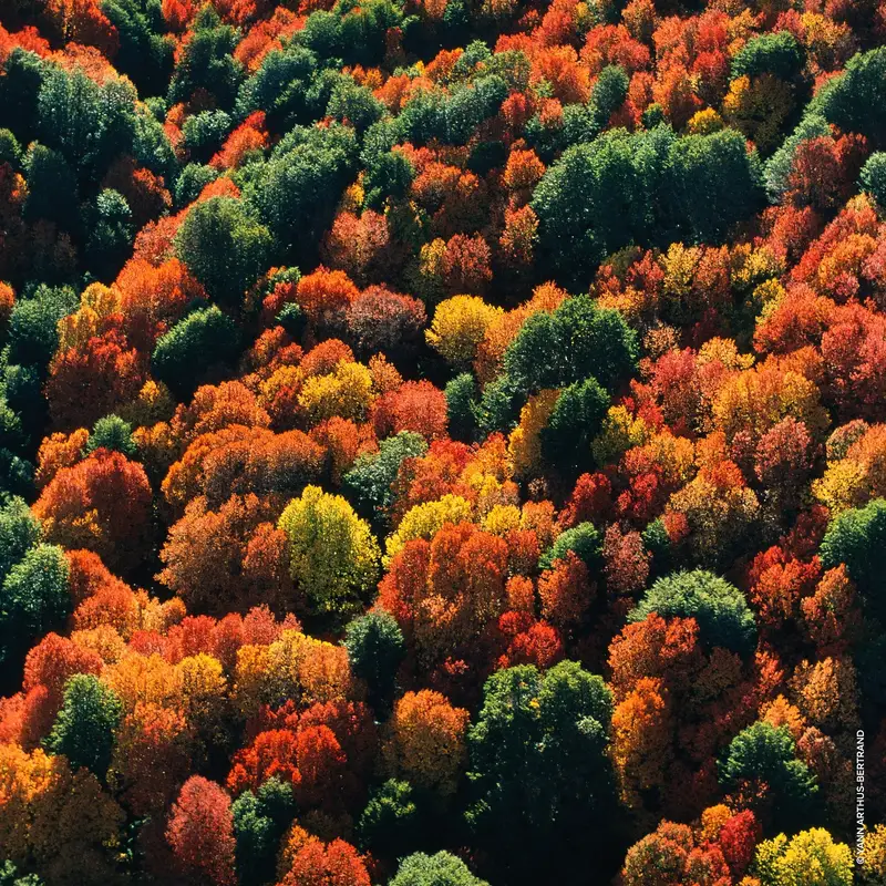 Guerlain Eau de Parfum Donna Rosa 3000349 miniatura 5