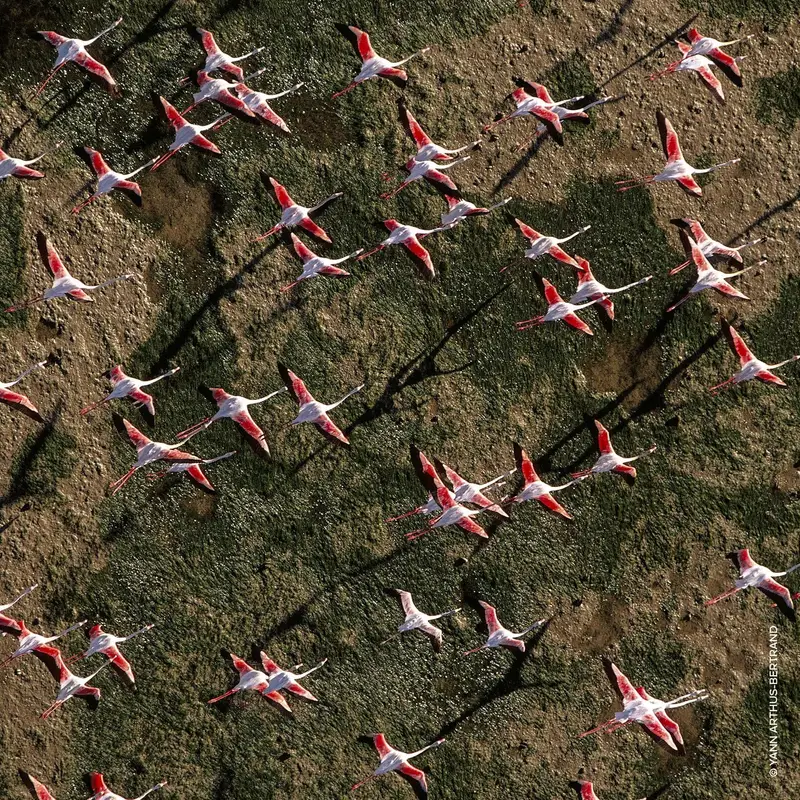 Guerlain Eau de Toilette Donna Rosa 3053336 miniatura 4