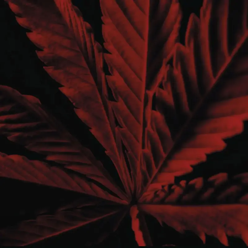 Guerlain Eau de Toilette Uomo 3000454 miniatura 4