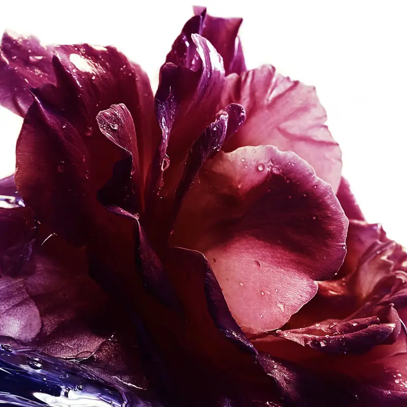 Guerlain Eau de Parfum Donna Nero 3063973 miniatura 2