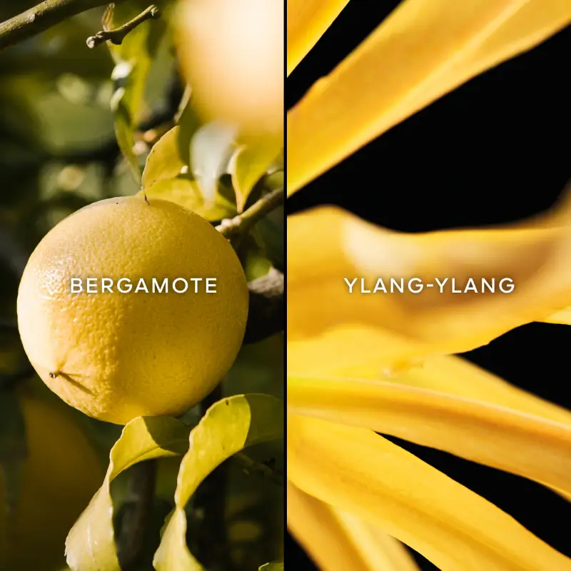 Guerlain Eau de Toilette Donna Verde 3000287 miniatura 2