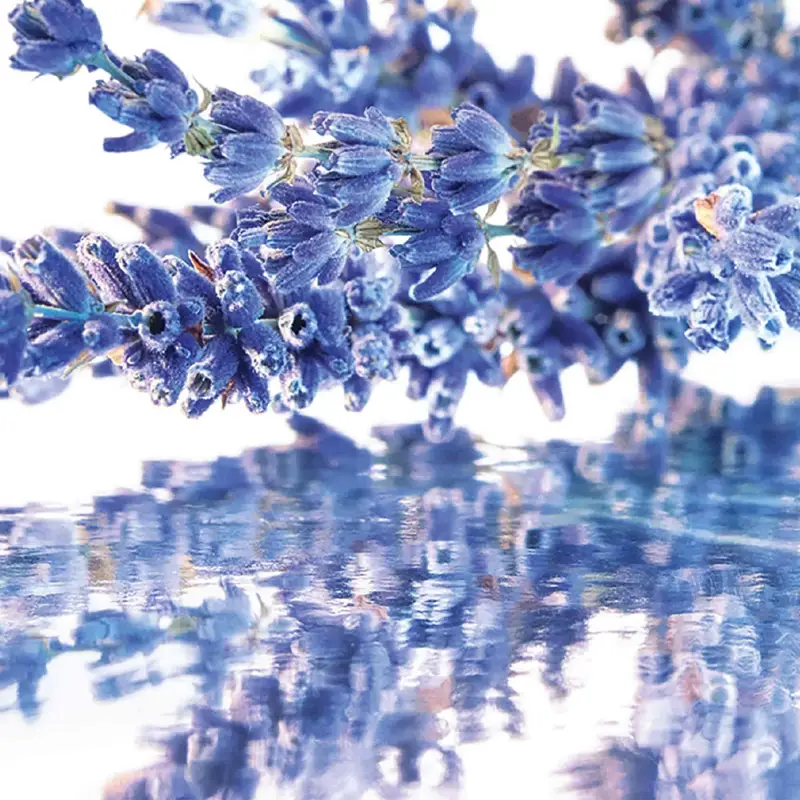 Guerlain Eau de Parfum Donna 3172907 miniatura 4