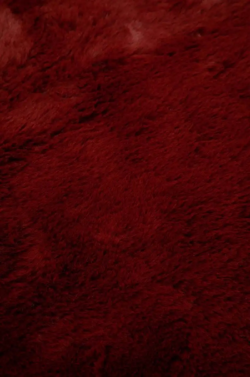 coperta per animali Rosso miniatura 3