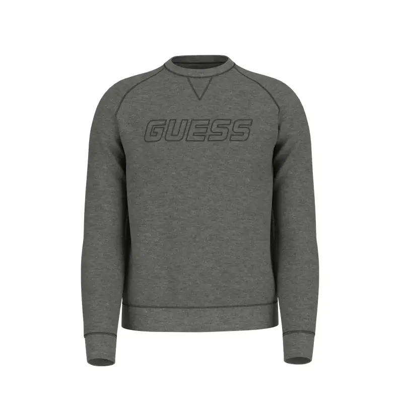 Felpa Guess New Aldwin