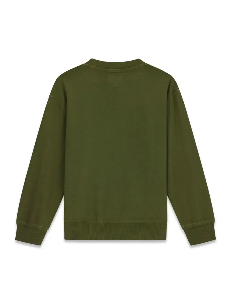 Felpa verde miniatura 2