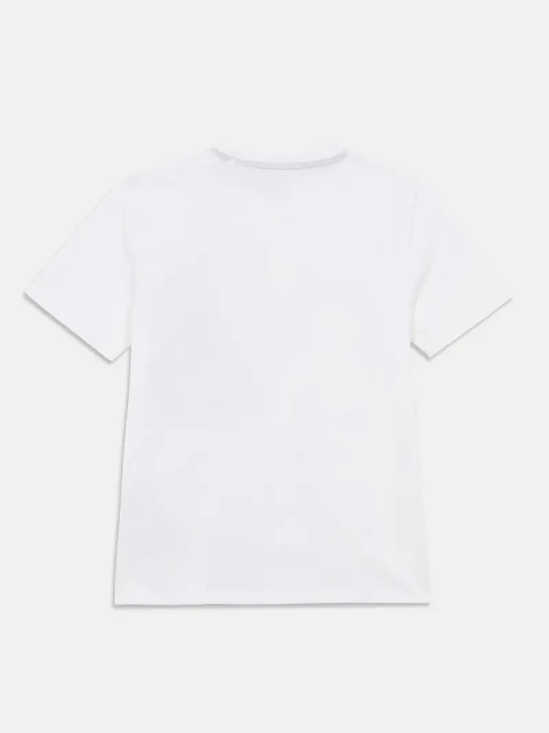 Maglietta camello / antracite / rosso / bianco miniatura 2