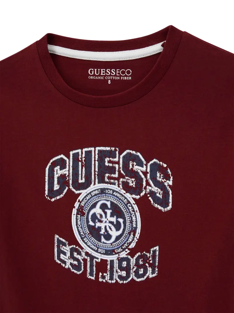 Maglietta genziana / blu chiaro / rosso vino / bianco miniatura 3