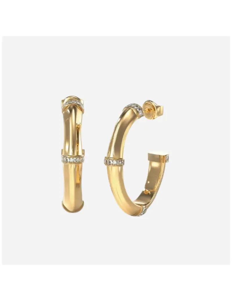 Guess Orecchini 2396797