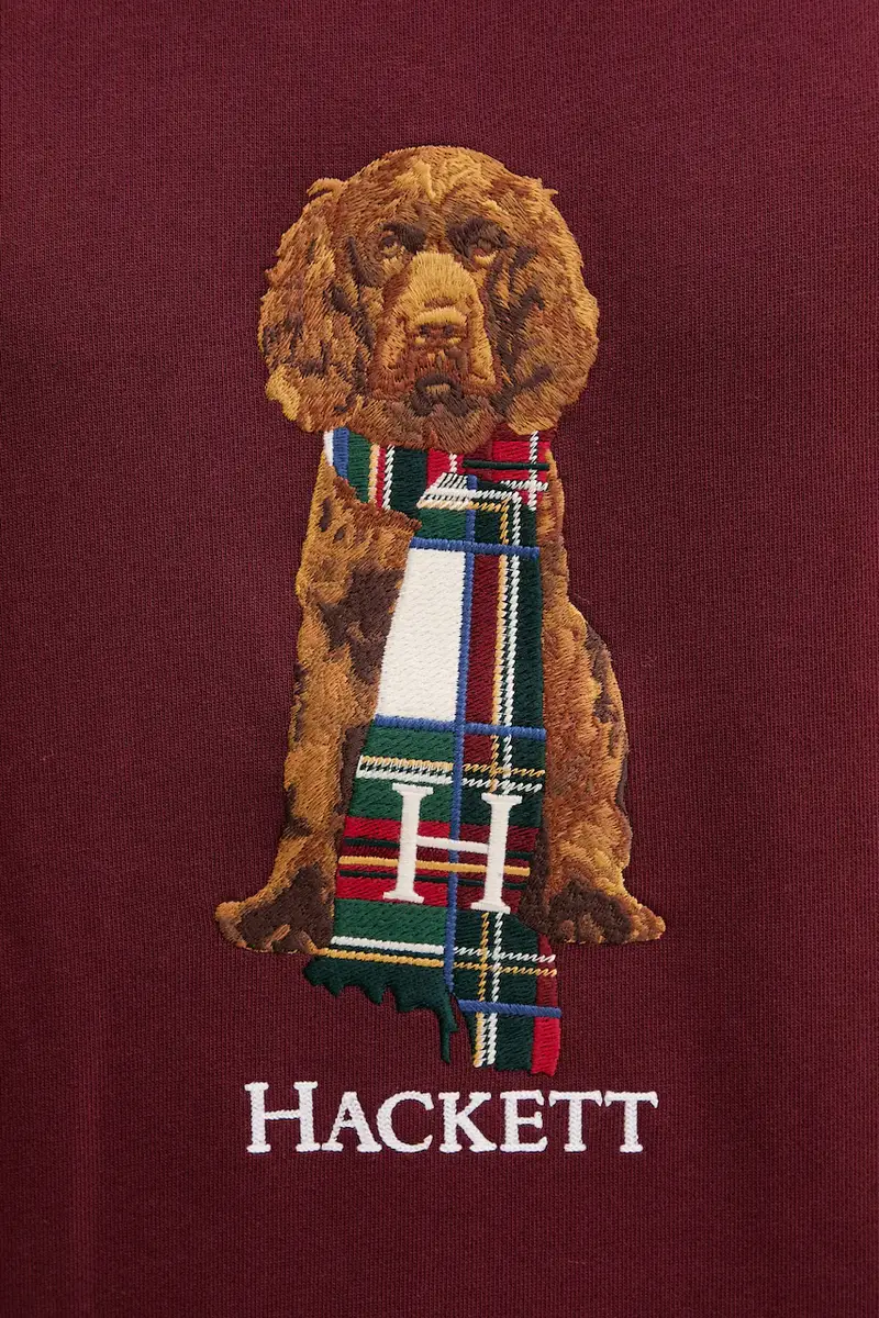 felpa in cotone uomo colore granata con applicazione HM5800015 miniatura 5