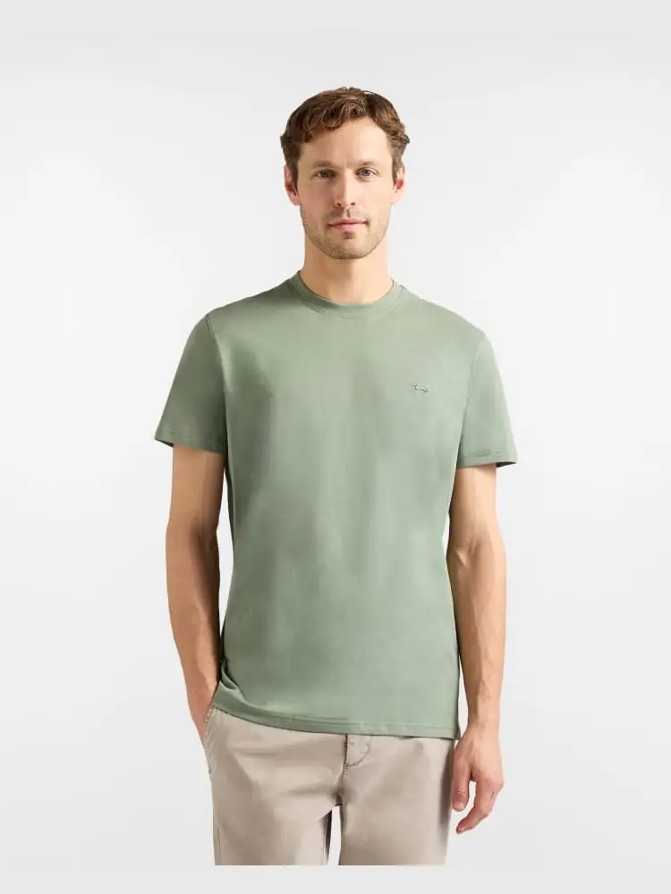 t-shirt uomo in cotone verde salvia con bassotto 3d
