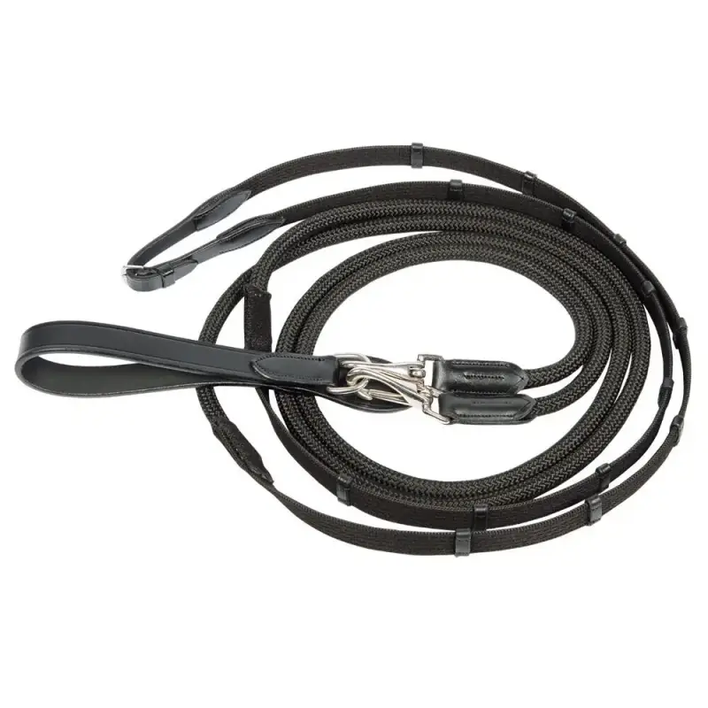 Quercia tedesca Harry s Horse