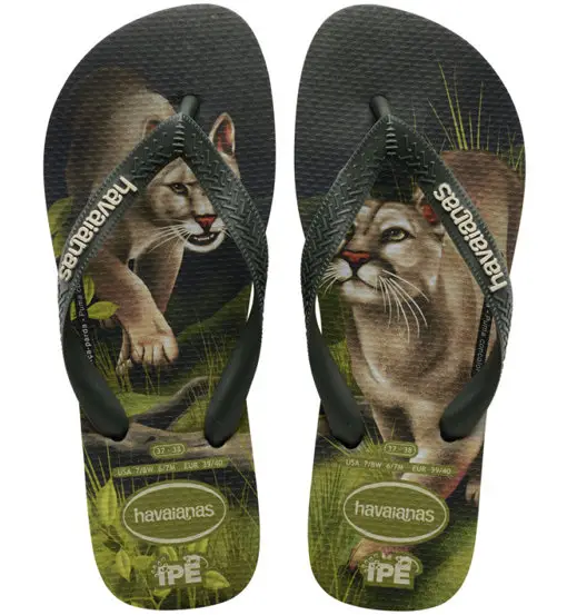 Ipe - infradito - uomo Green