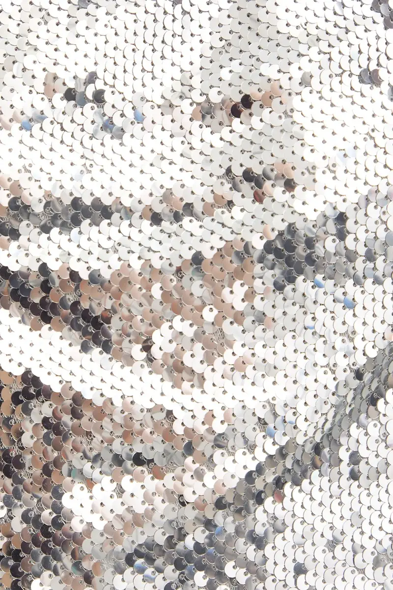 Haveone Top Argento 4147761 miniatura 5