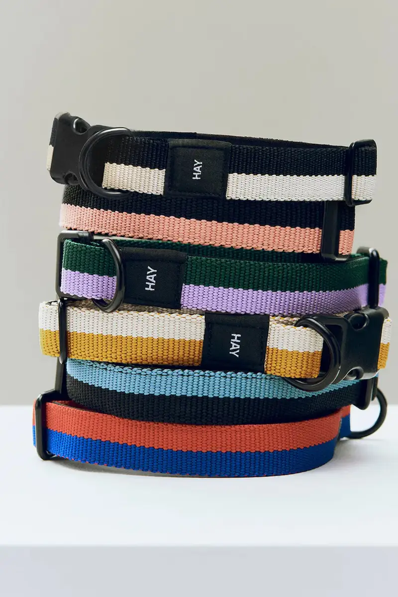 collare per cani M/L 2, 5 x 40-65 cm colore giallo miniatura 2