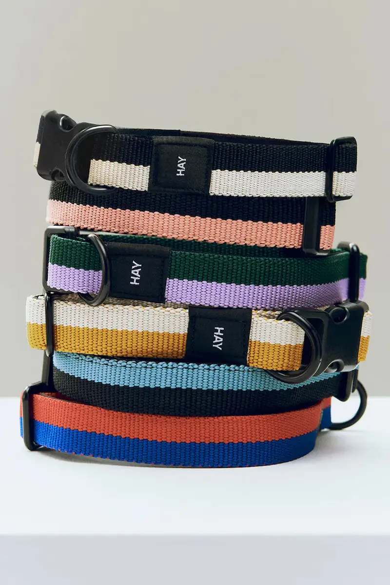 collare per cani M/L 2, 5 x 40-65 cm colore nero miniatura 2