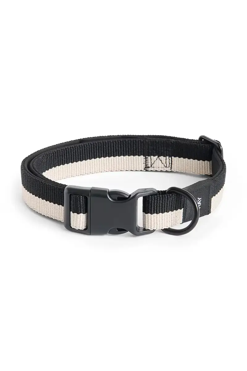 collare per cani M/L 2,5 x 40-65 cm colore nero