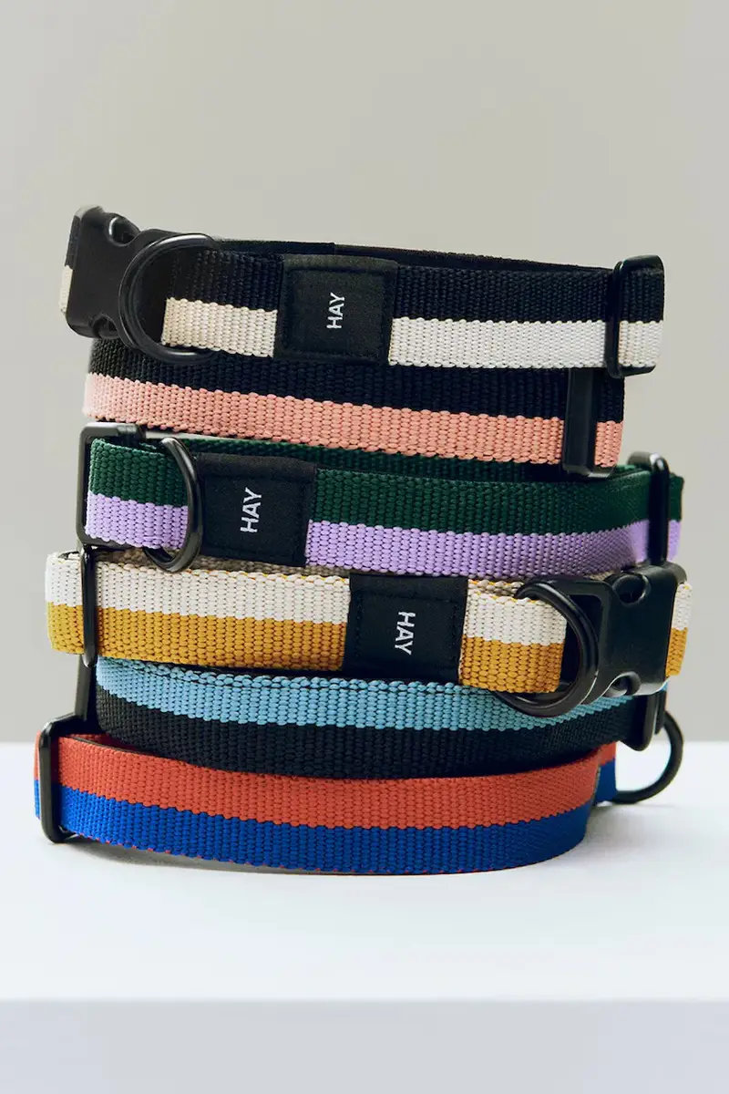 collare per cani S/M 2 x 25-45 cm colore nero miniatura 2