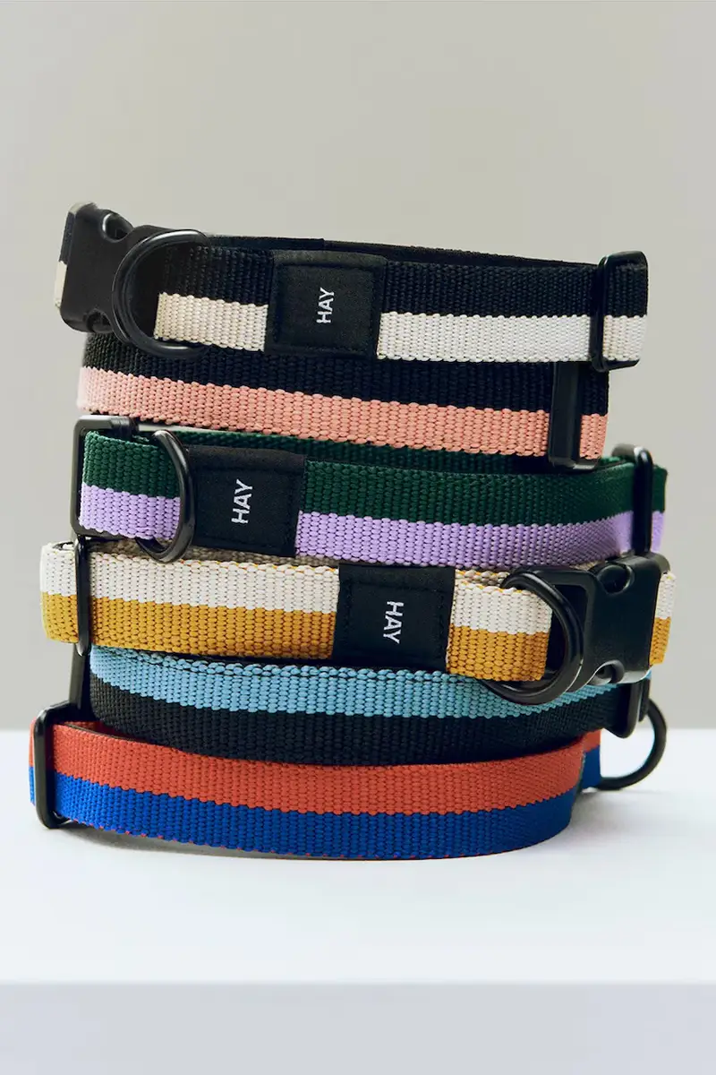 collare per cani S/M 2 x 25-45 cm colore rosa miniatura 2