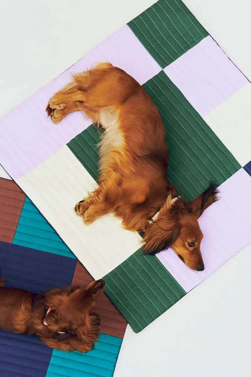 coperta per animali 80 x 80 cm Multicolore miniatura 4