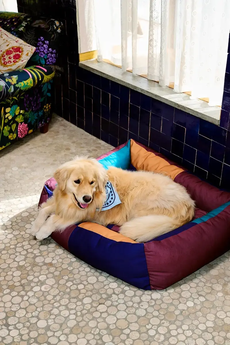 cuccia per animali Large 75 x 96 x 30 cm Multicolore miniatura 5