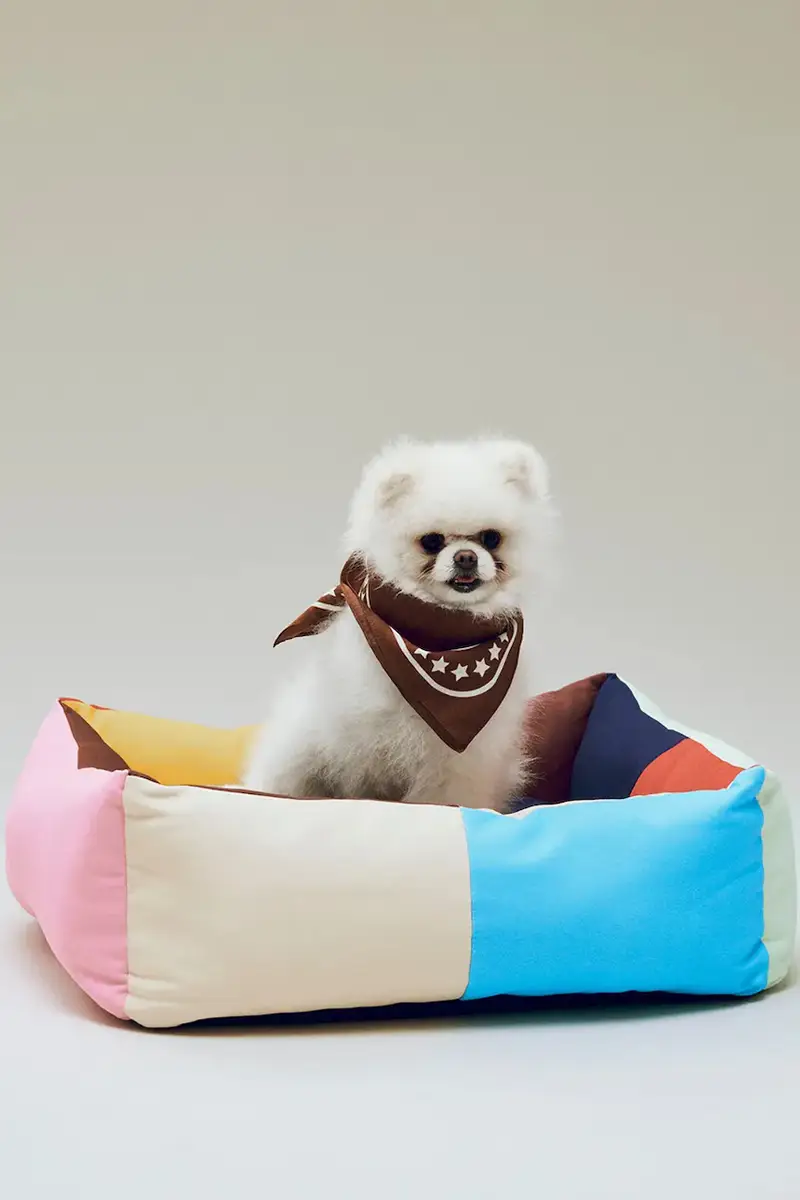 cuccia per animali Medium 65 x 78 x 26 cm Multicolore miniatura 3