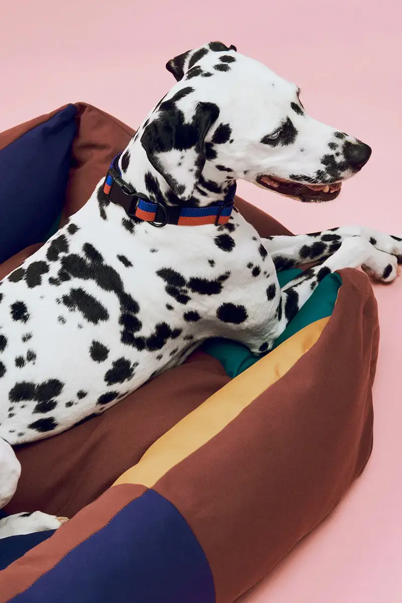 cuccia per animali Medium 65 x 78 x 26 cm Multicolore miniatura 4