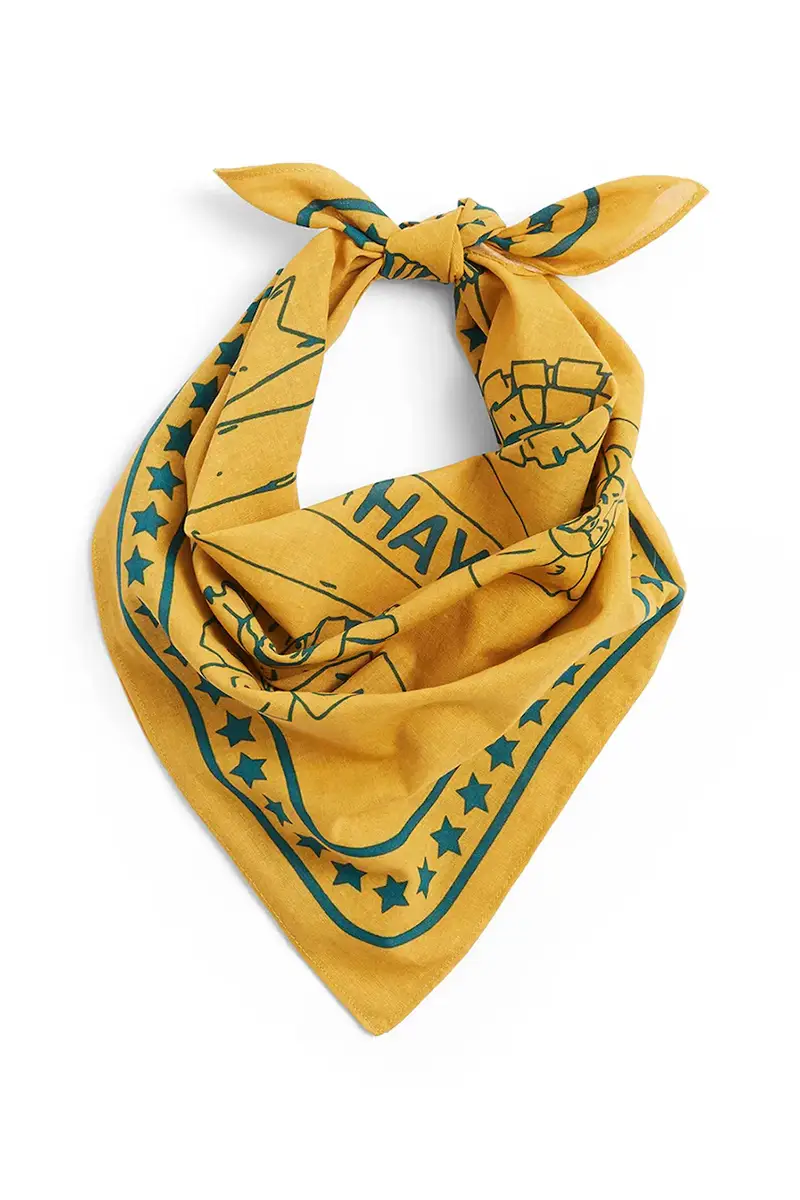 foulard per cane 55 x 55 cm colore arancione miniatura 2