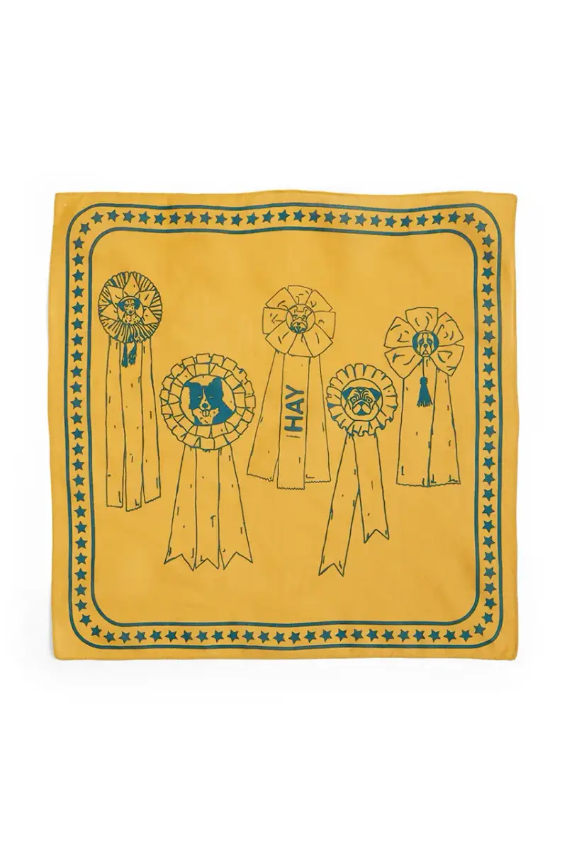 foulard per cane 55 x 55 cm colore arancione