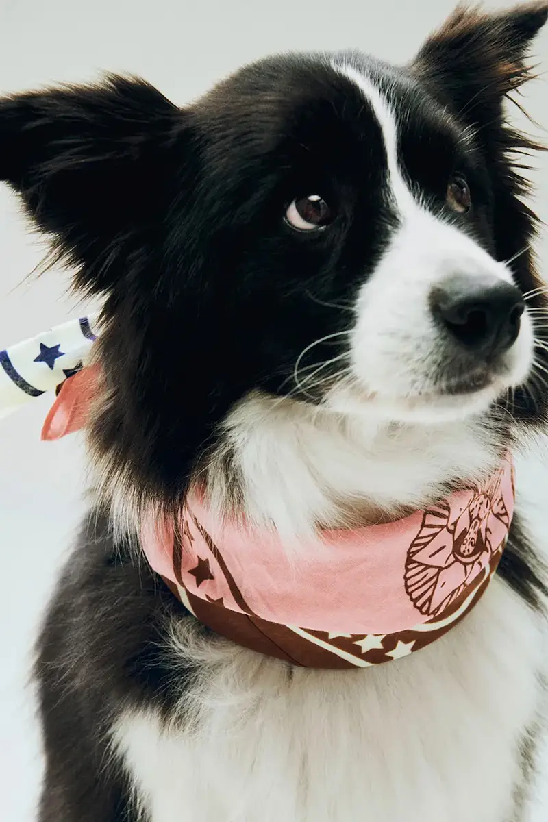 foulard per cane 55 x 55 cm colore rosa miniatura 3