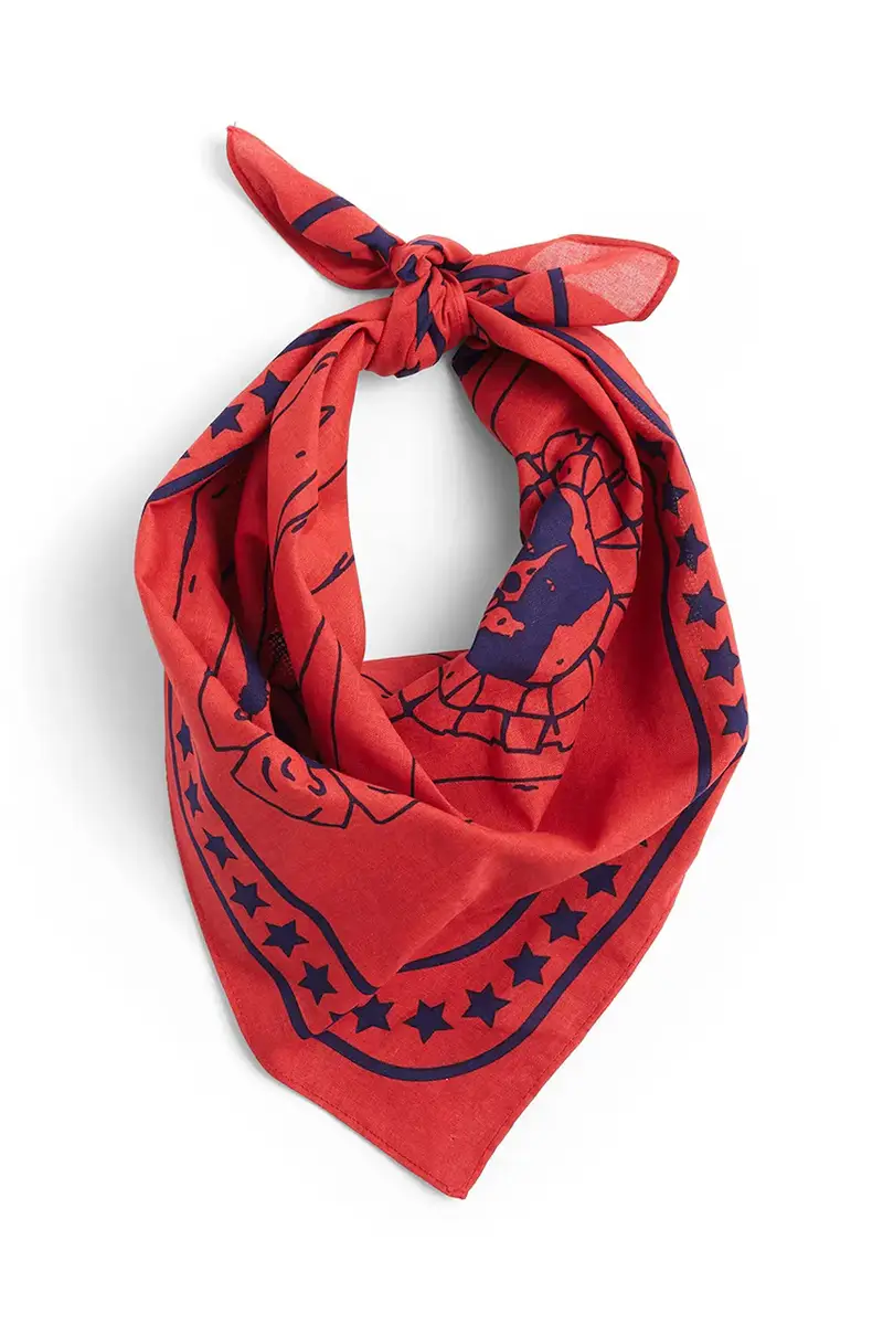 foulard per cane 55 x 55 cm colore rosso miniatura 2