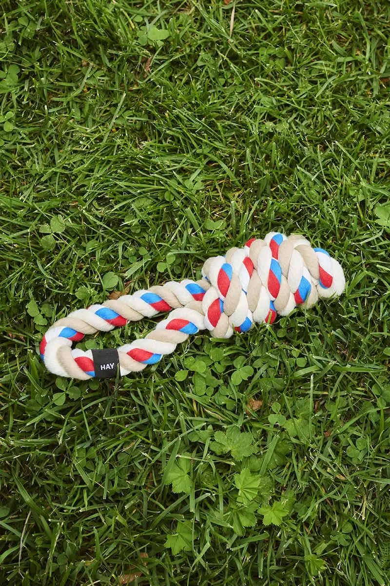 giocattolo per cane 8 x 29 cm Multicolore miniatura 4