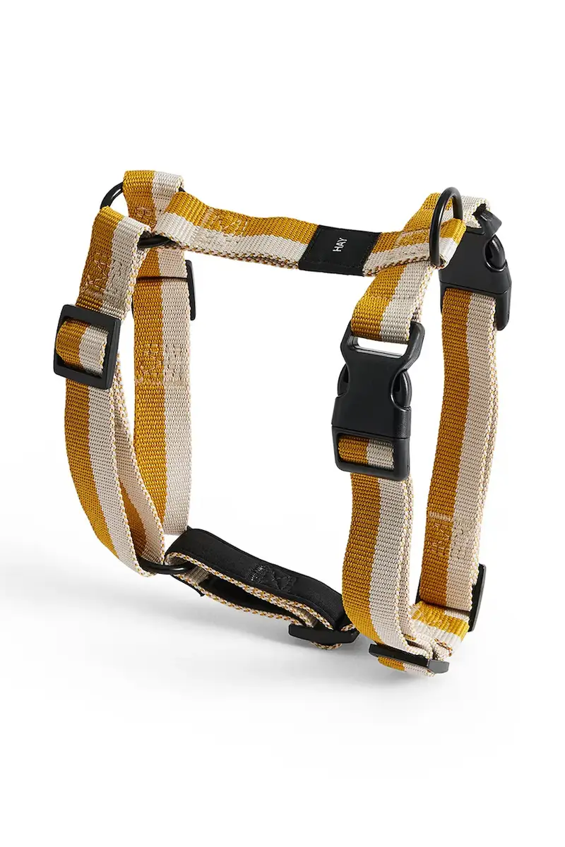 pettorina per cane Medium colore giallo