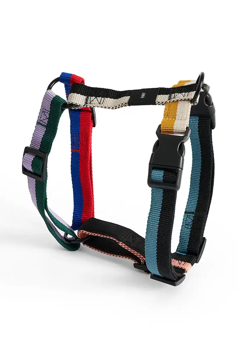 pettorina per cane Medium Multicolore