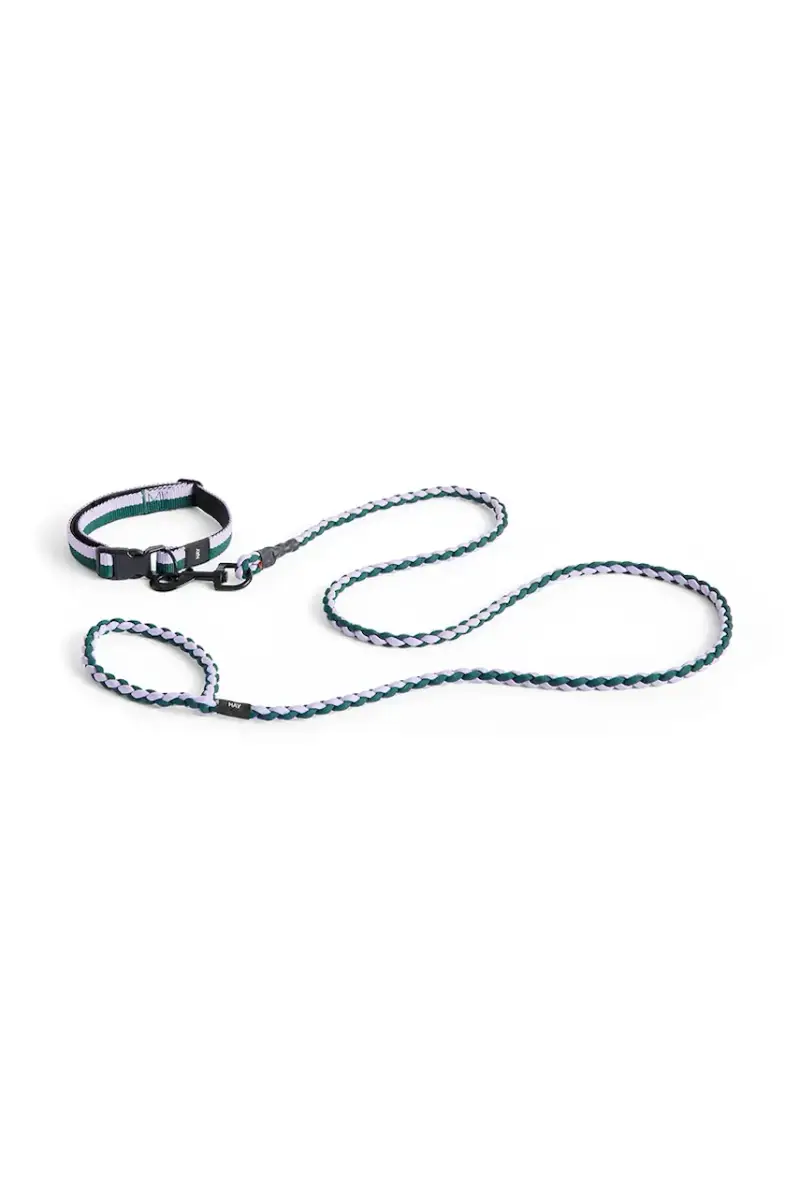 quinzaglio 160 cm Multicolore miniatura 2