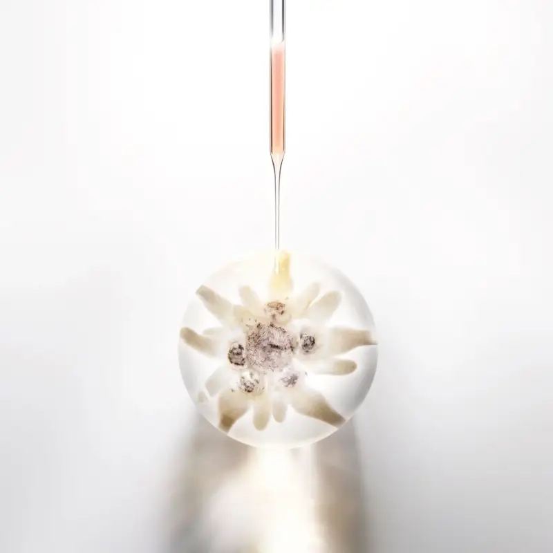 Prodigy Cellglow The Deep Renewing Concentrate - Trattamento antietà pelli mature, Siero antirughe, Siero viso illuminante miniatura 3