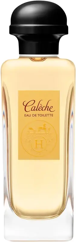 Hermes Caleche EDT W 100 ml