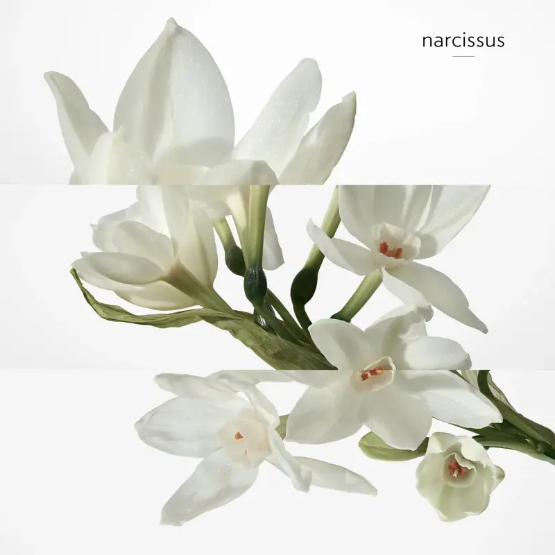 Hermes Deodorante Uomo 3000659 miniatura 5