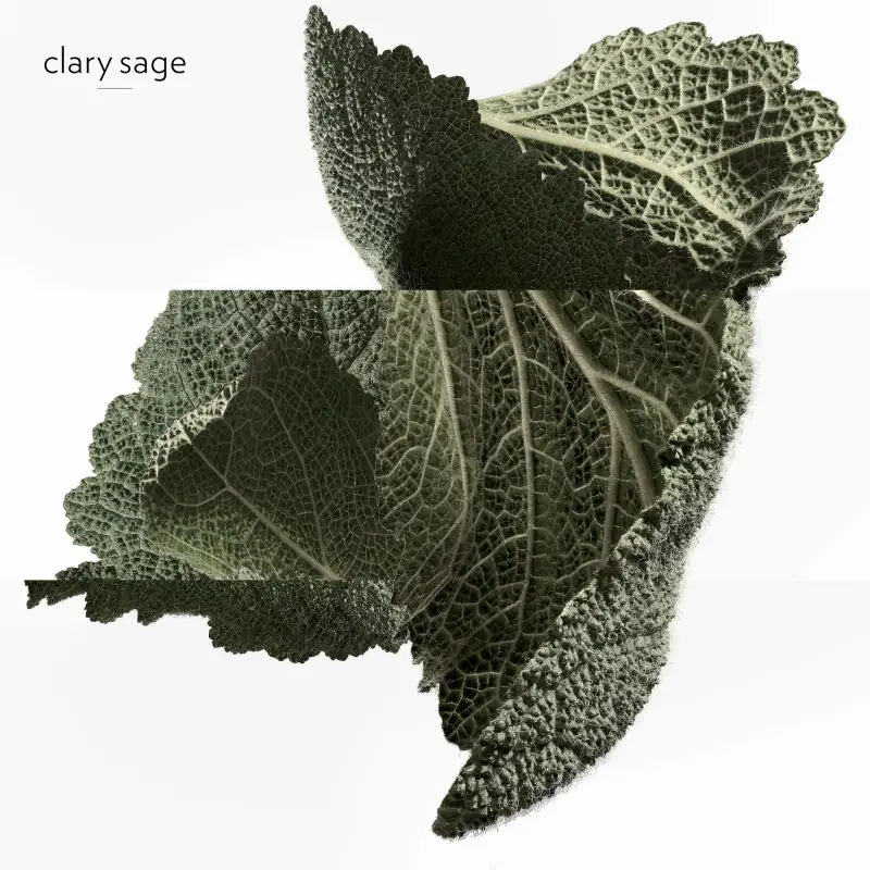 Hermes Eau de Parfum Uomo Verde 3000660 miniatura 5