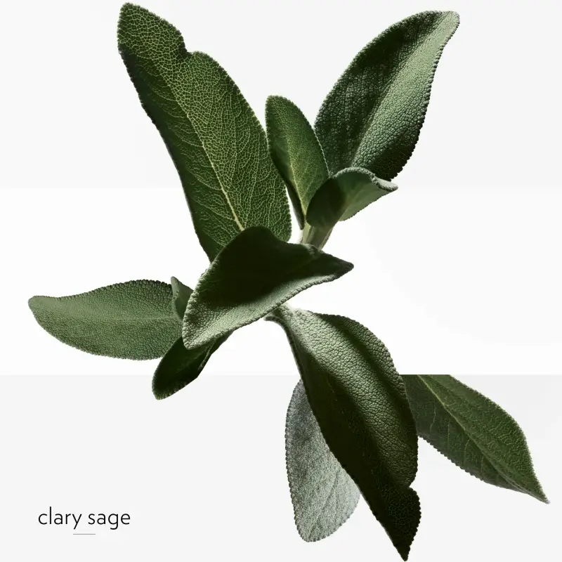 Hermes Crema viso Uomo Crema 3000658 miniatura 5