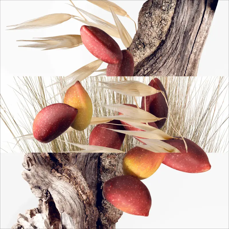 Hermes Eau de Toilette Uomo Rosa 3000690 miniatura 3