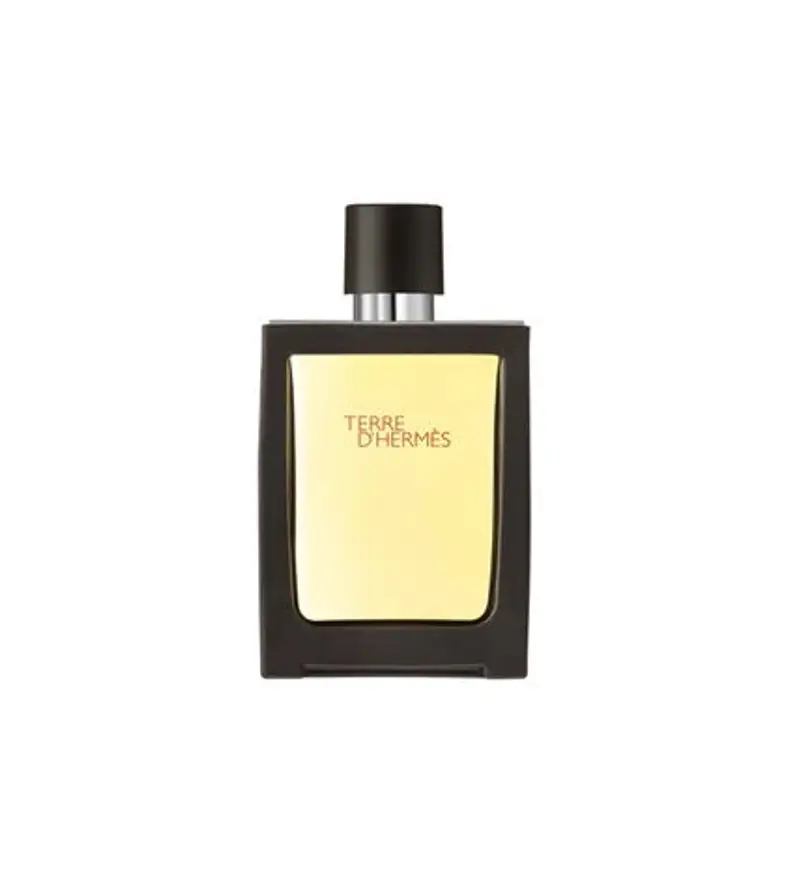 Hermes Terre d'Hermes Eau de Toilette 30ml - Ricaricabile
