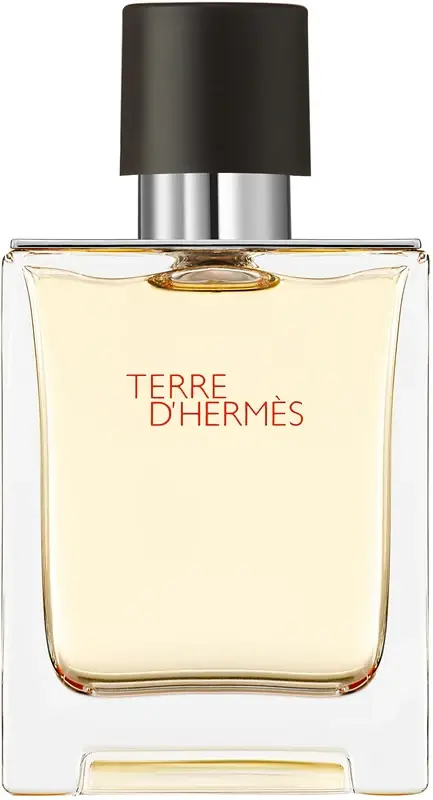 Terre D'Hermes Eau De Toilette Spray 50ml