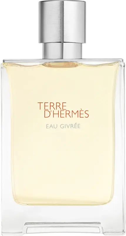 Terre d`Hermès Eau Givrée - EDP (plnitelná) - Volume 100 ml