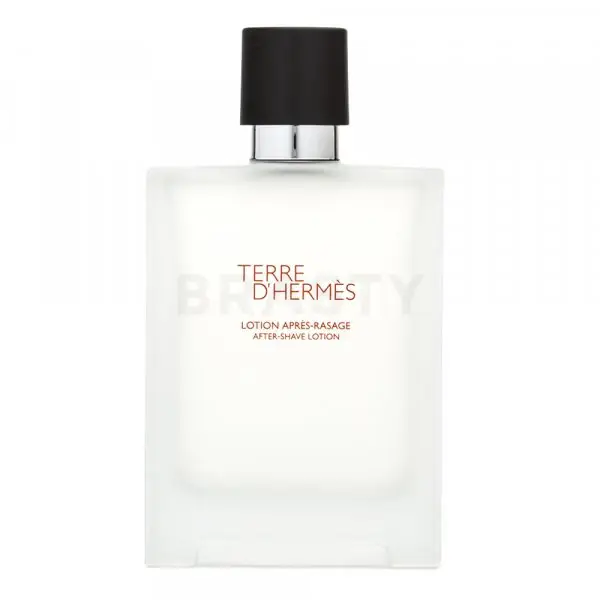 Terre D'Hermes Hermès After Shave Lotion 100 ml