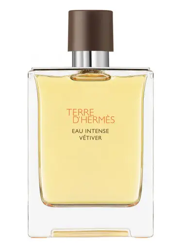 Terre d'Hermes Vetiver Eau Intense 50ml