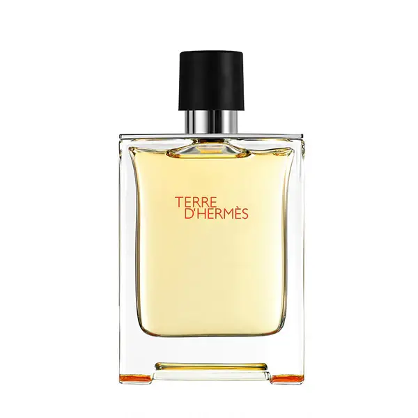 Hermes Terre D'HERMESE Eau De Toilette Spray 200ml