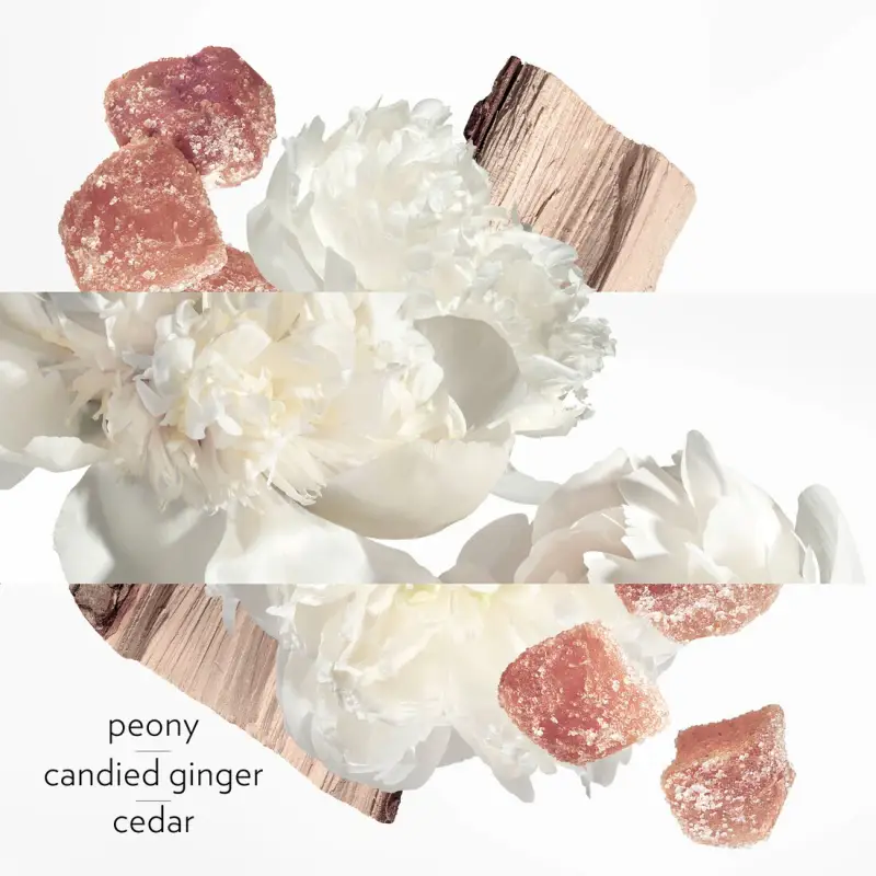 Hermes Eau de Parfum Donna Bianco 3053865 miniatura 4